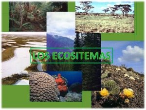 Clasificacion de los ecositemas