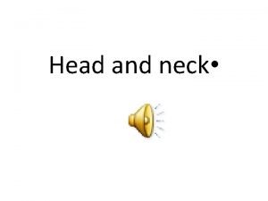 Head and neck The head neck The pharyngeal
