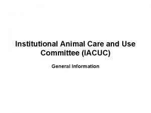 Institutional Animal Care and Use Committee IACUC General