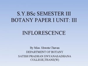 S Y BSc SEMESTER III BOTANY PAPER I