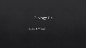 Biology 114 Class 4 Water Todays Class Water