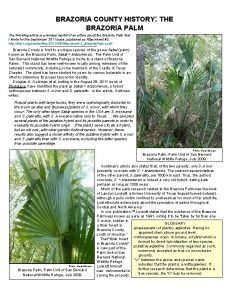 BRAZORIA COUNTY HISTORY THE BRAZORIA PALM The following