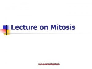Phases of mitosis in order