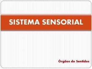 SISTEMA SENSORIAL rgos do Sentidos DEFINIO v Por