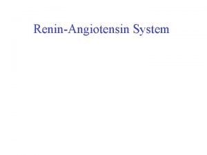 ReninAngiotensin System Afferent Macula Densa JG Apparatus Efferent