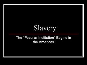 Slavery The Peculiar Institution Begins in the Americas