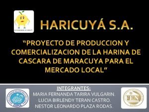 HARICUY S A PROYECTO DE PRODUCCION Y COMERCIALIZACION