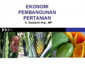 EKONOMI PEMBANGUNAN PERTANIAN Ir Gustami Hrp MP BRAINSTORMING