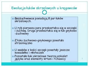 Luski plakoidalne Luski plakoidalne