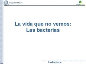 La vida que no vemos Las bacterias Cmo