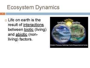Ecosystem dynamics definition