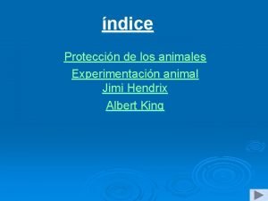 ndice Proteccin de los animales Experimentacin animal Jimi