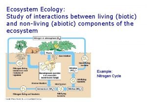 Ecosystem Ecology Study of interactions between living biotic