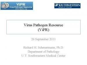 www viprbrc org Virus Pathogen Resource Vi PR