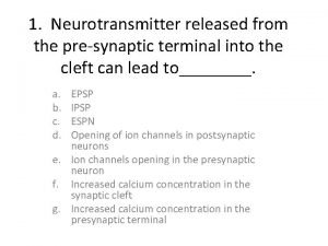 1 Neurotransmitter released from the presynaptic terminal into