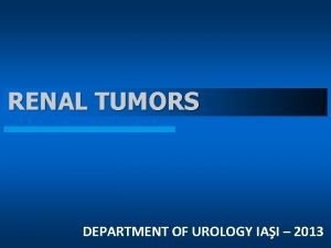 RENAL TUMORS DEPARTMENT OF UROLOGY IAI 2013 RENAL