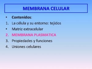 Funciones de la membrana celular