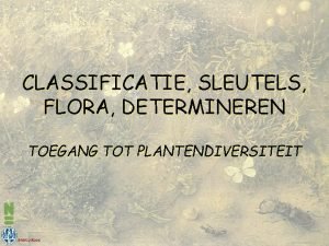 CLASSIFICATIE SLEUTELS FLORA DETERMINEREN TOEGANG TOT PLANTENDIVERSITEIT Marco