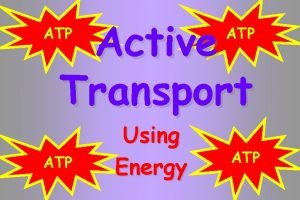 Active Transport ATP ATP Using Energy ATP Active