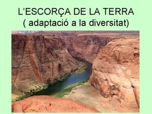 LESCORA DE LA TERRA adaptaci a la diversitat