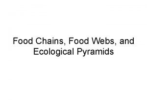 Food Chains Food Webs and Ecological Pyramids A
