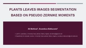 PLANTS LEAVES IMAGES SEGMENTATION BASED ON PSEUDO ZERNIKE