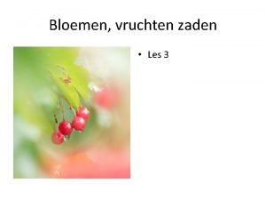 Bloemen vruchten zaden Les 3 Vandaag Vruchten zijn