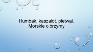 Morskie olbrzymy