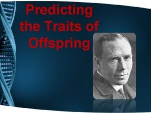 Predicting the Traits of Offspring Punnett Squares Punnett