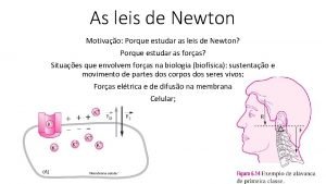 As leis de Newton Motivao Porque estudar as