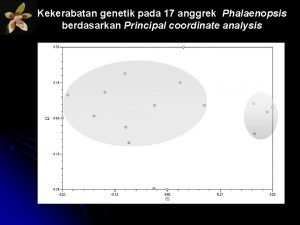 Kekerabatan genetik pada 17 anggrek Phalaenopsis berdasarkan Principal