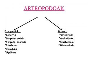 ARTROPODOAK Ezaugarriak Simetria Gorputzatalak Gorputzadarrak Eskeletoa Elikadura Ugalketa