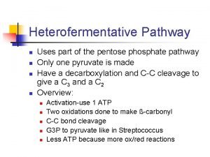 Phosphoketolase pathway