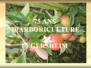 75 ANS DARBORICULTURE A FEGERSHEIM 1933 1941 Naissance