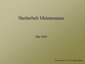 Shelterbelt Maintenance May 2006 Andr Vzina ITA La