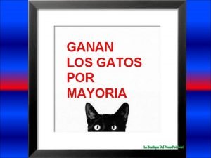 GANAN LOS GATOS POR MAYORIA La Boutique Del