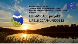 Pspkszilgy 051 050 hrsz Szilgyipatak BAL partjn LIFEMICACC