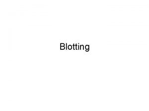 Blotting Blotting Your nylon filter should now have