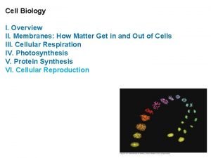 Cell Biology I Overview II Membranes How Matter