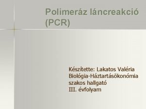 Polimerz lncreakci PCR Ksztette Lakatos Valria BiolgiaHztartskonmia szakos