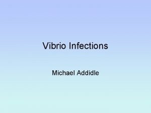 Vibrio Infections Michael Addidle Vibrios Taxonomy Species Genera