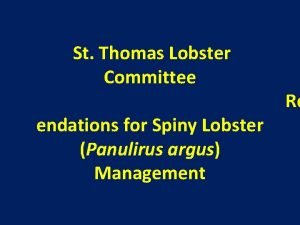 St Thomas Lobster Committee endations for Spiny Lobster