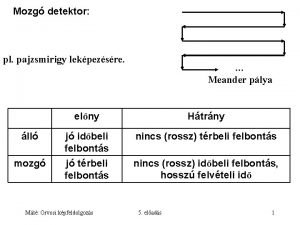 Mozg detektor pl pajzsmirigy lekpezsre Meander plya elny