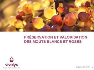 PRSERVATION ET VALORISATION DES MOTS BLANCS ET ROSS