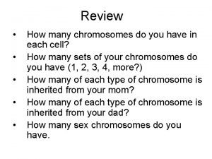 How many chromosomes do prokaryotes have