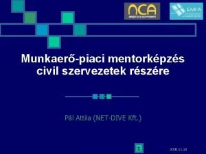 Munkaerpiaci mentorkpzs civil szervezetek rszre Pl Attila NETDIVE