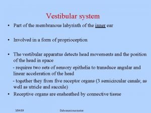 Vestibular reflex