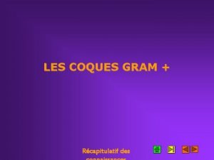 LES COQUES GRAM Rcapitulatif des L observation microscopique