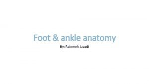 Foot ankle anatomy By Fatemeh Javadi Bones Calcaneus