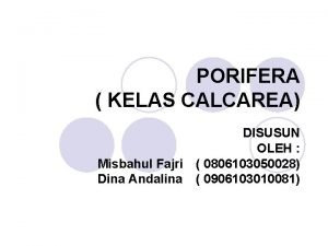 PORIFERA KELAS CALCAREA DISUSUN OLEH Misbahul Fajri 0806103050028